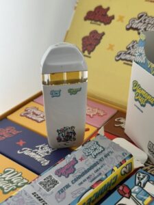 choice lab dual flavor 2g disposable