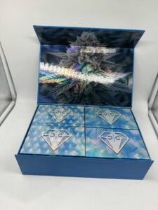 Clean Carts Winter Blue Edition 2G Disposable
