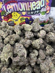 Black Cherry Lemonhead Strain