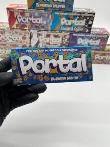 Portal Mushroom Chocolate Bar 6G