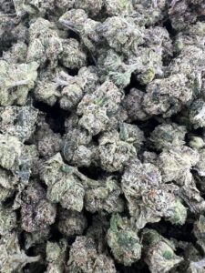 bolo candy cannabis strain