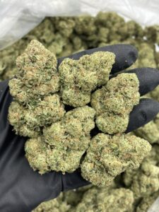 Gorilla Glue (GG4) Cannabis Strain