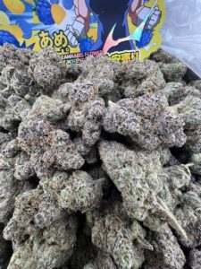 Super Blue Thunder Exotic Indoor