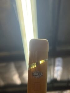 Puff LA Premium Disposable 2G Device