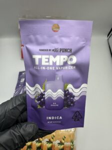 tempo all in one vaporizer 1g