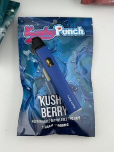 Kushy Punch 1G Disposable THC Vape