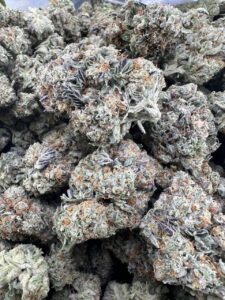 grape stompers premium cannabis