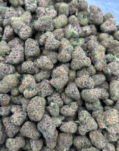 hot cake candy taco premium cannabis
