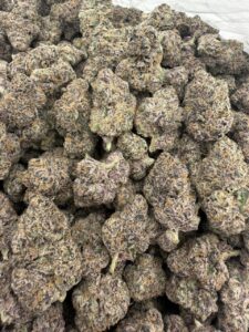 censored candy premium cannabis