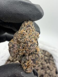 censored candy premium cannabis