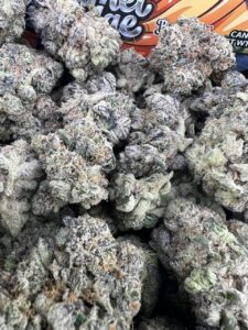 falcon premium cannabis floweer