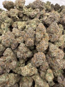 jumbo lemonz exotic indoor flower