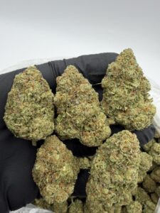 cherry sour skittlez exotic indoor flower