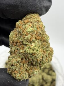cherry sour skittlez exotic indoor flower