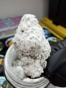 TUX SNOWCAPS 16 1 OZ JARS
