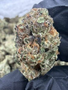 frosted runtz indoor flower