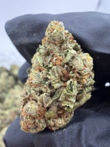 north garlic premium cannabis flower