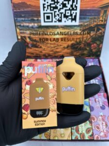 puffin 2g summer edition