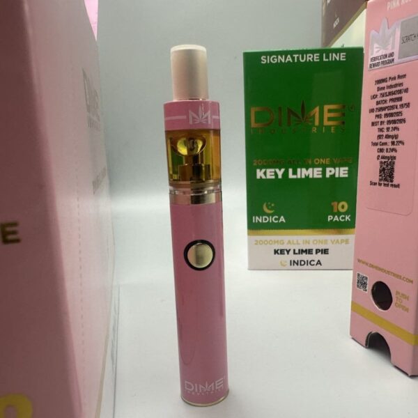 dime industries 2g disposable