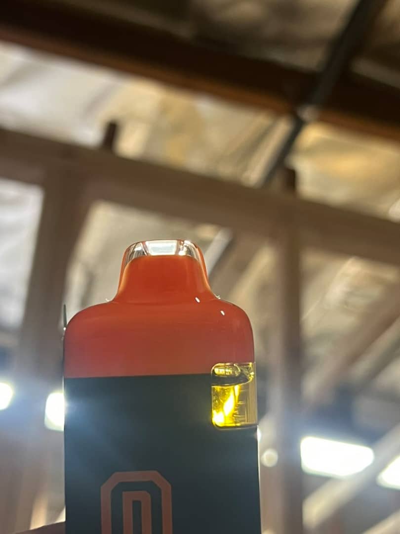 WhatsApp Image 2026-04-10 at 10.33.54 AM dropout academy 3g disposable