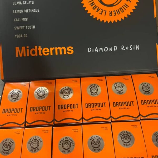 dropout academy 3g disposable