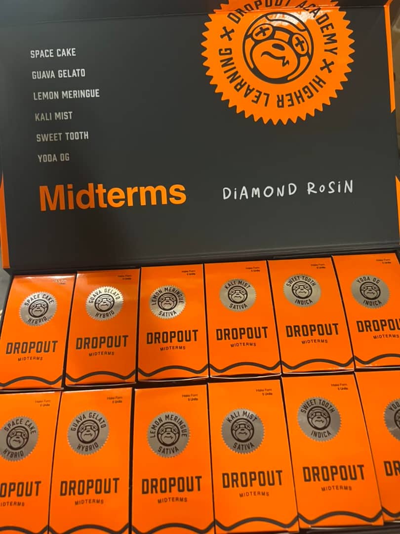 WhatsApp Image 2026-04-10 at 10.33.55 AM dropout academy 3g disposable