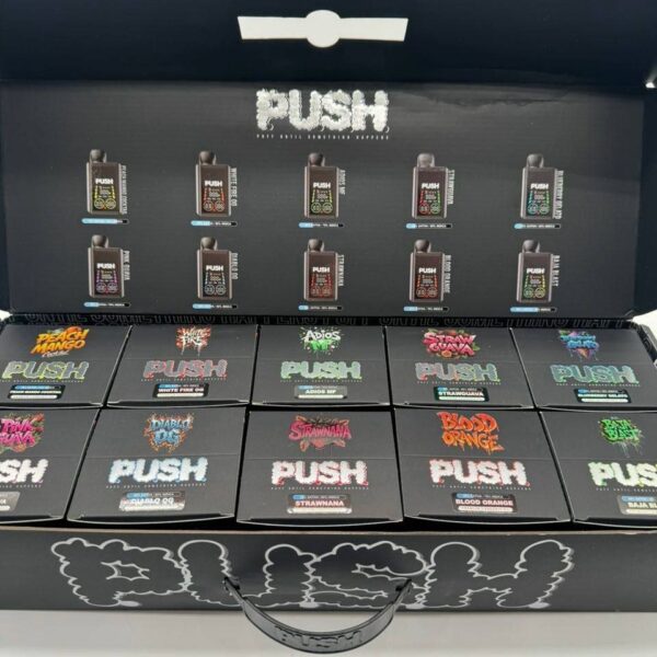 push 2g disposable with screen