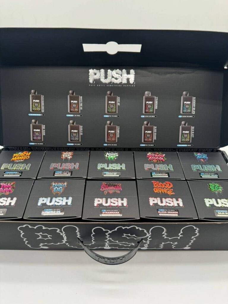 push 2g disposable with screen