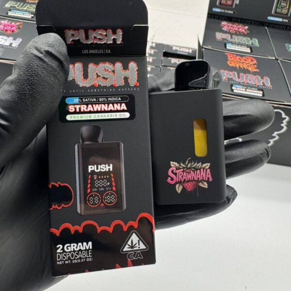 push 2g disposable with screen