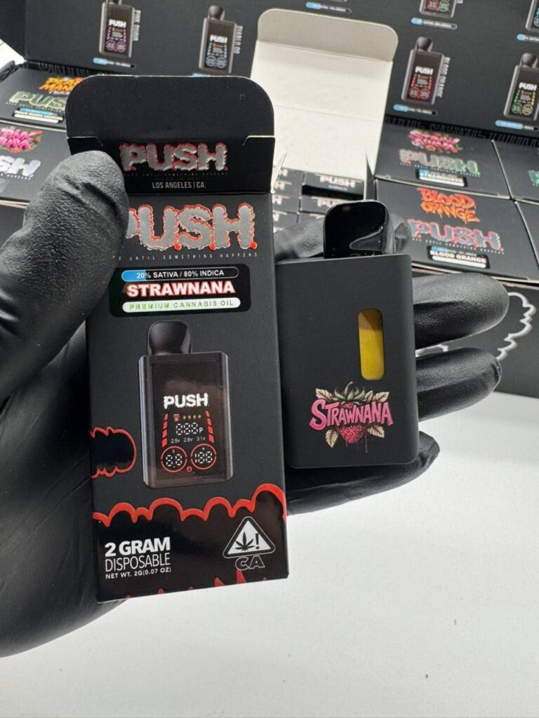 push 2g disposable with screen