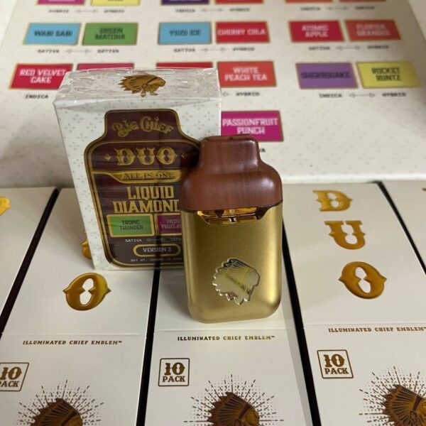 big chief duo v3 2g disposable