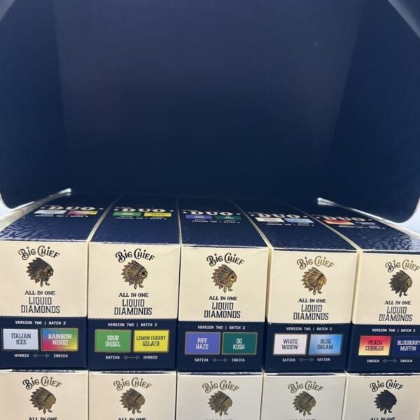 big chief duo v2 2g disposable