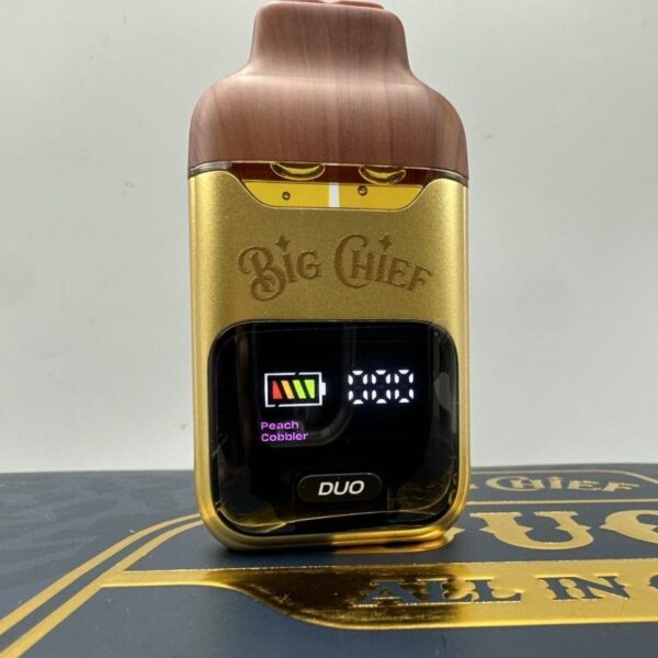 big chief duo v2 2g disposable