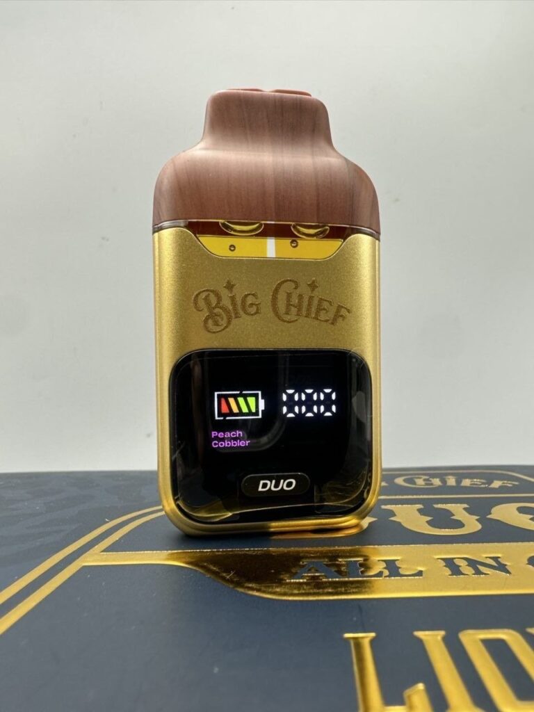 big chief duo v2 2g disposable