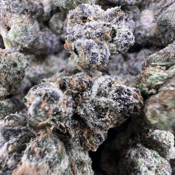 Black Cherry Lemonhead Strain