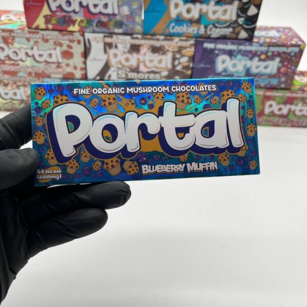 Portal Mushroom Chocolate Bar 6G