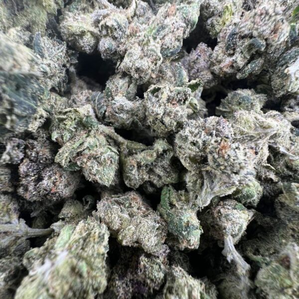bolo candy cannabis strain