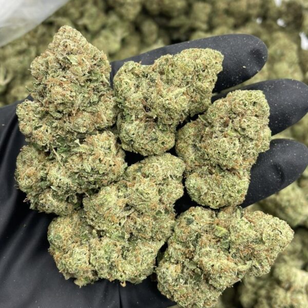 Gorilla Glue (GG4) Cannabis Strain