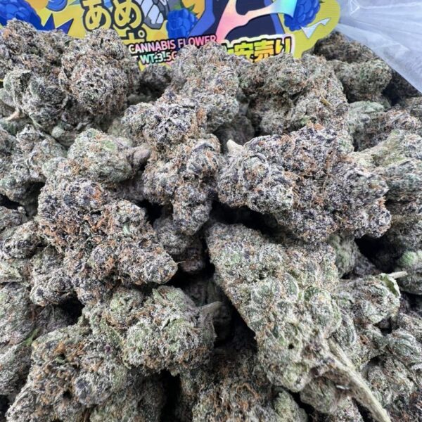 Super Blue Thunder Exotic Indoor