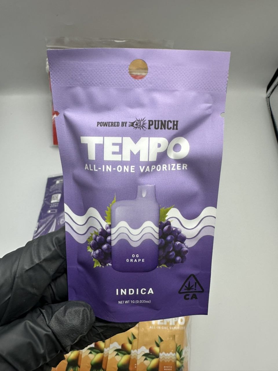 5186278005150518309_121 tempo all in one vaporizer 1g