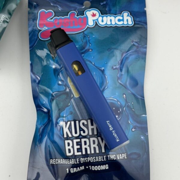 Kushy Punch 1G Disposable THC Vape