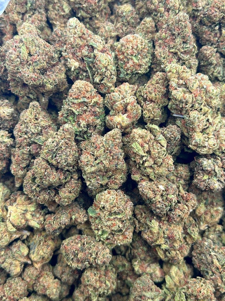 photo_2026-05-16_02-03-56 sky walker lows premium cannabis