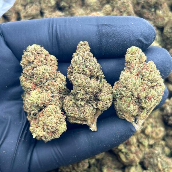 sky walker lows premium cannabis