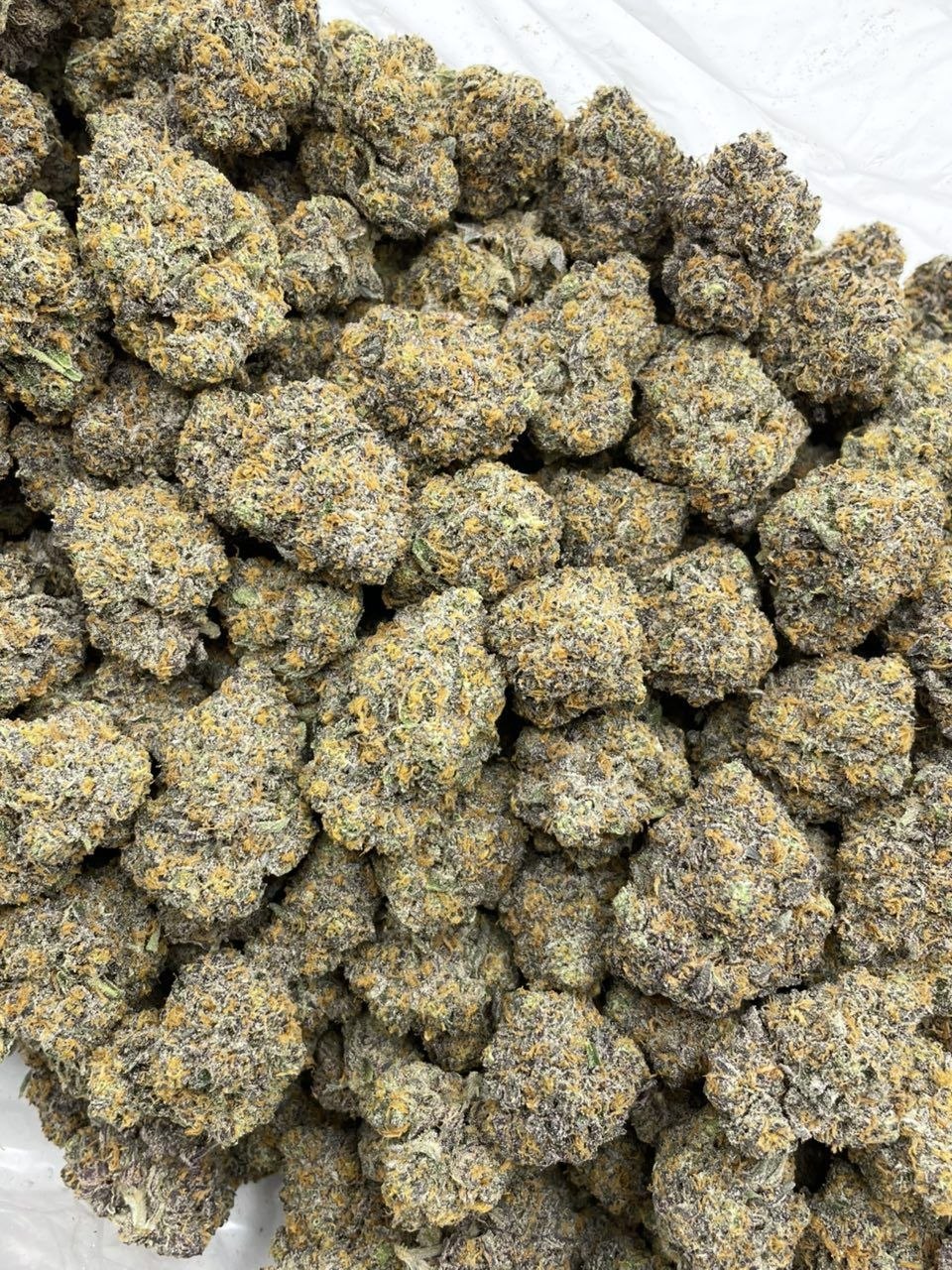 photo_2026-05-17_01-14-45 Bubblegum Belts Premium Cannabis