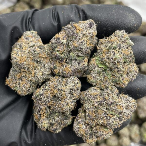 galatic cherry runtz exotic flower