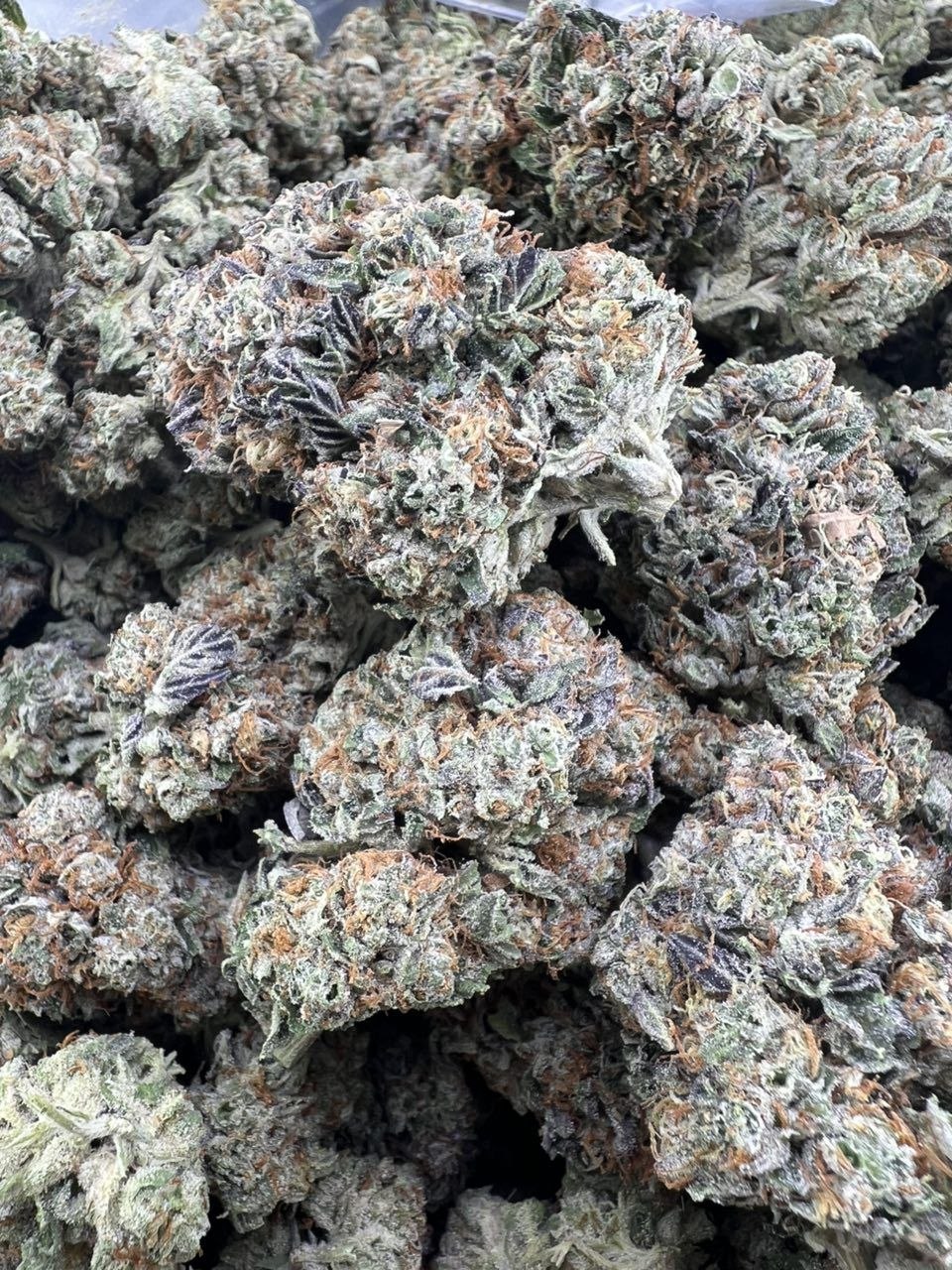 photo_2026-05-17_11-00-35 grape stompers premium cannabis