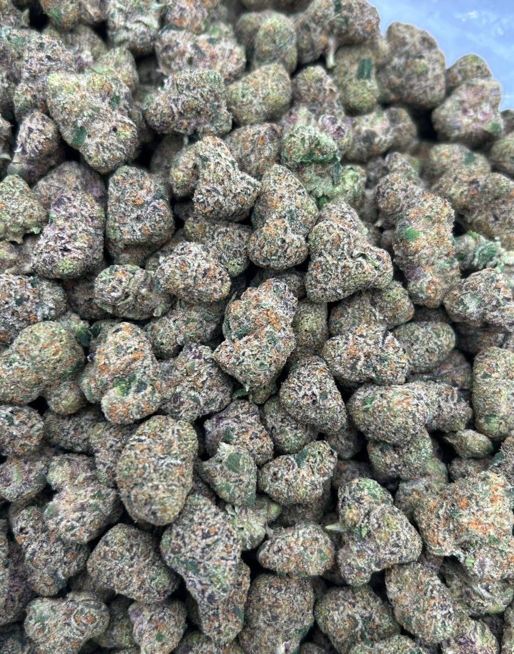 photo_2026-05-18_05-26-43 hot cake candy taco premium cannabis