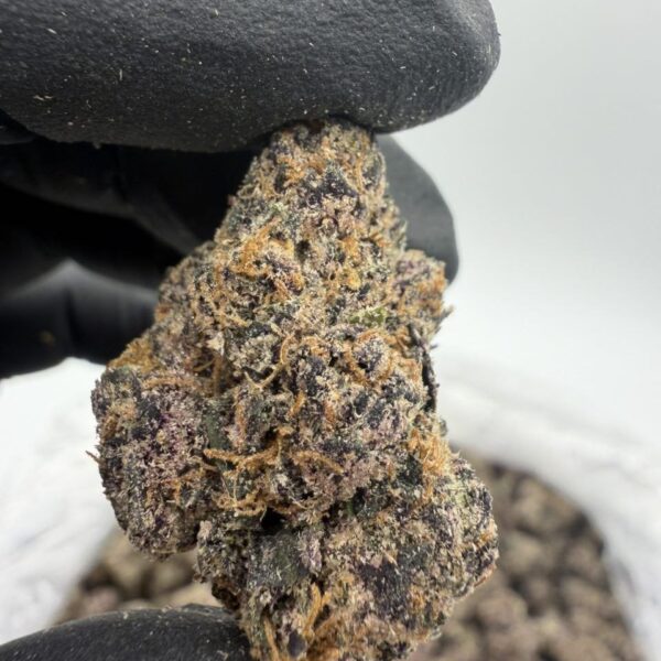 censored candy premium cannabis