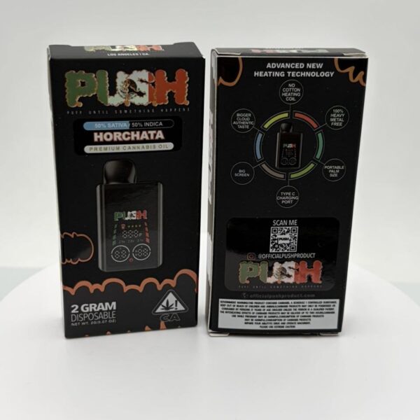 push horchata 2g disposable
