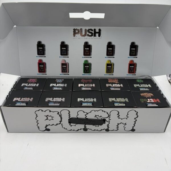 push horchata 2g disposable